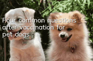 Four common questions after vaccination for pet dogs