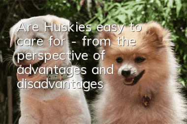 Are Huskies easy to care for - from the perspective of advantages and disadvantages