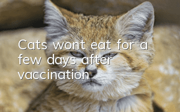 Cats won’t eat for a few days after vaccination