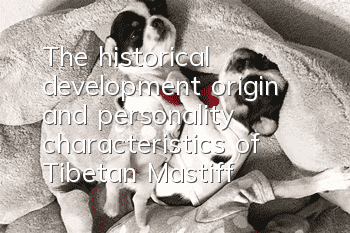 The historical development, origin and personality characteristics of Tibetan Mastiff
