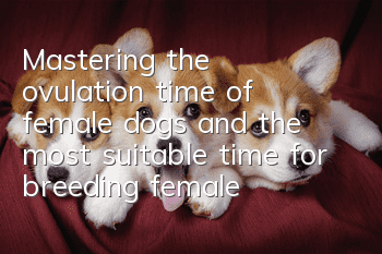 Mastering the ovulation time of female dogs and the most suitable time for breeding female dogs