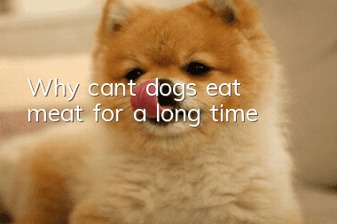 Why can’t dogs eat meat for a long time?