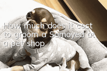 How much does it cost to groom a Samoyed at a pet shop?