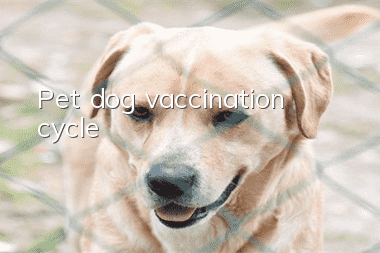 Pet dog vaccination cycle