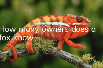 How many owners does a fox know?
