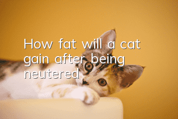 How fat will a cat gain after being neutered?