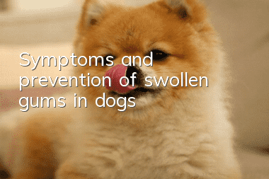 Symptoms and prevention of swollen gums in dogs