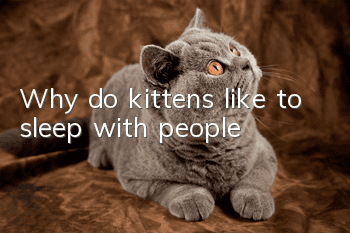Why do kittens like to sleep with people?