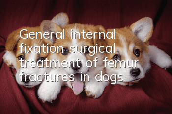 General internal fixation surgical treatment of femur fractures in dogs