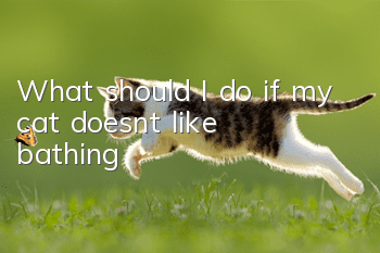 What should I do if my cat doesn’t like bathing?