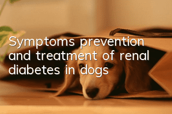 Symptoms, prevention and treatment of renal diabetes in dogs