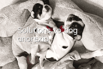 Solutions to dog anorexia