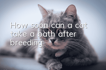 How soon can a cat take a bath after breeding?