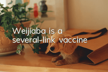 Weijiaba is a several-link vaccine