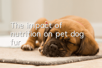 The impact of nutrition on pet dog fur