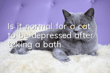 Is it normal for a cat to be depressed after taking a bath?
