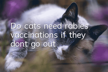 Do cats need rabies vaccinations if they don’t go out?