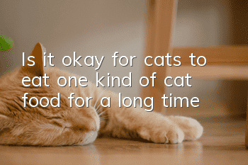 Is it okay for cats to eat one kind of cat food for a long time?