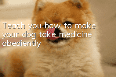 Teach you how to make your dog take medicine obediently