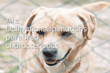 Are Dalmatians/Dalmatians purebred characteristics?