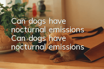 Can dogs have nocturnal emissions? Can dogs have nocturnal emissions?