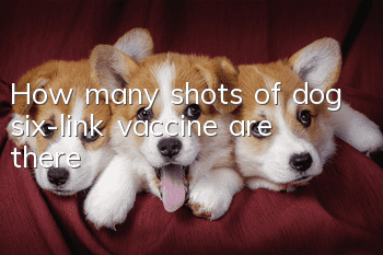 How many shots of dog six-link vaccine are there?