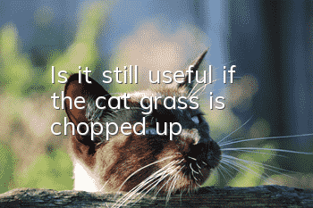 Is it still useful if the cat grass is chopped up?