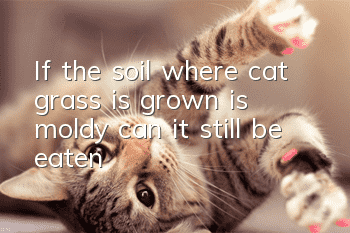 If the soil where cat grass is grown is moldy, can it still be eaten?