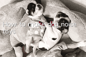 How to make dog noise toys
