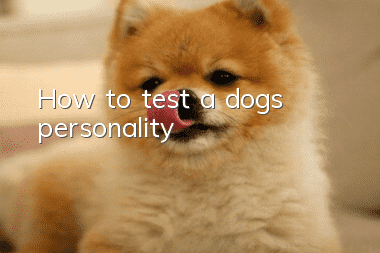 How to test a dog’s personality?