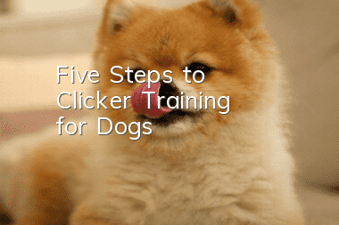 Five Steps to “Clicker Training” for Dogs