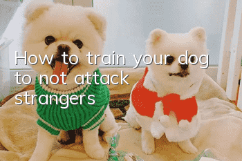 How to train your dog to “not attack strangers”
