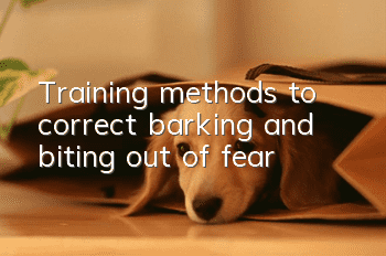 Training methods to correct “barking and biting out of fear”