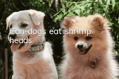 Can dogs eat shrimp heads?