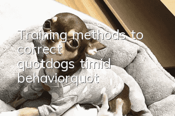 Training methods to correct "dog's timid behavior"