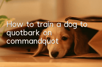 How to train a dog to "bark on command"