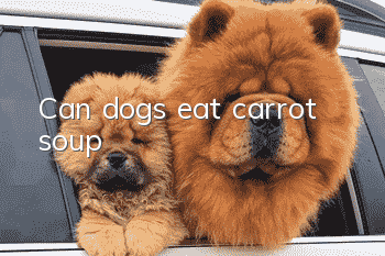 Can dogs eat carrot soup?
