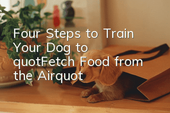 Four Steps to Train Your Dog to "Fetch Food from the Air"