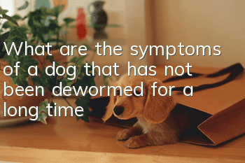 What are the symptoms of a dog that has not been dewormed for a long time?