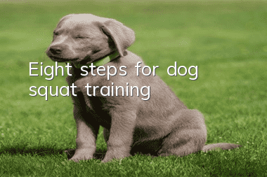 Eight steps for dog “squat” training