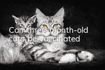 Can three-month-old cats be vaccinated?