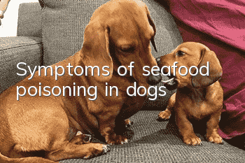 Symptoms of seafood poisoning in dogs