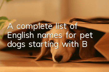 A complete list of English names for pet dogs starting with B
