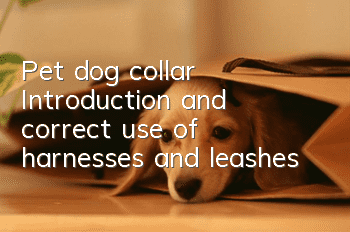 Pet dog collar | Introduction and correct use of harnesses and leashes