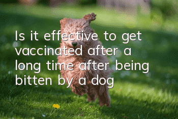 Is it effective to get vaccinated after a long time after being bitten by a dog?