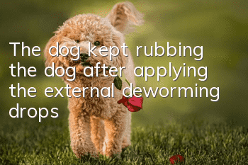 The dog kept rubbing the dog after applying the external deworming drops