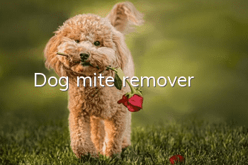 Dog mite remover