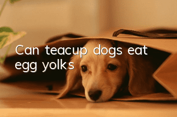 Can teacup dogs eat egg yolks?