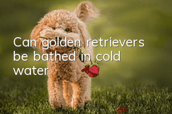 Can golden retrievers be bathed in cold water?