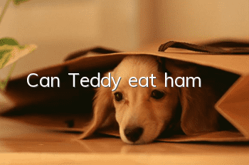 Can Teddy eat ham?